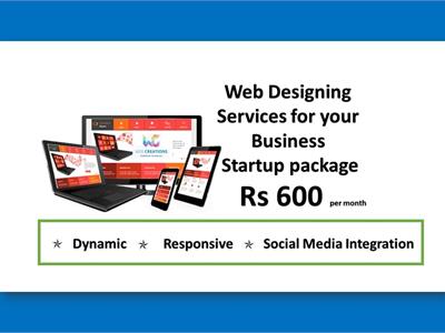 Web Designing for your Business Startup Package